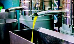 New Production Technology Improves Olive Oil Quality